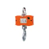 Digitale Hängewaage bis 1000 kg mit Fernbedienung, Industrie Kranwaage, robust, HDWR wagPRO-H1000P